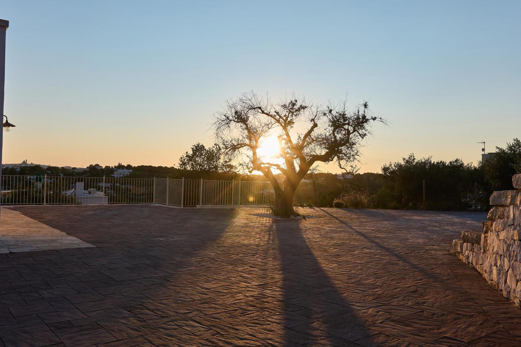 דירות לוקורוטונדו Trulli Mbs By Apulia Hospitality מראה חיצוני תמונה