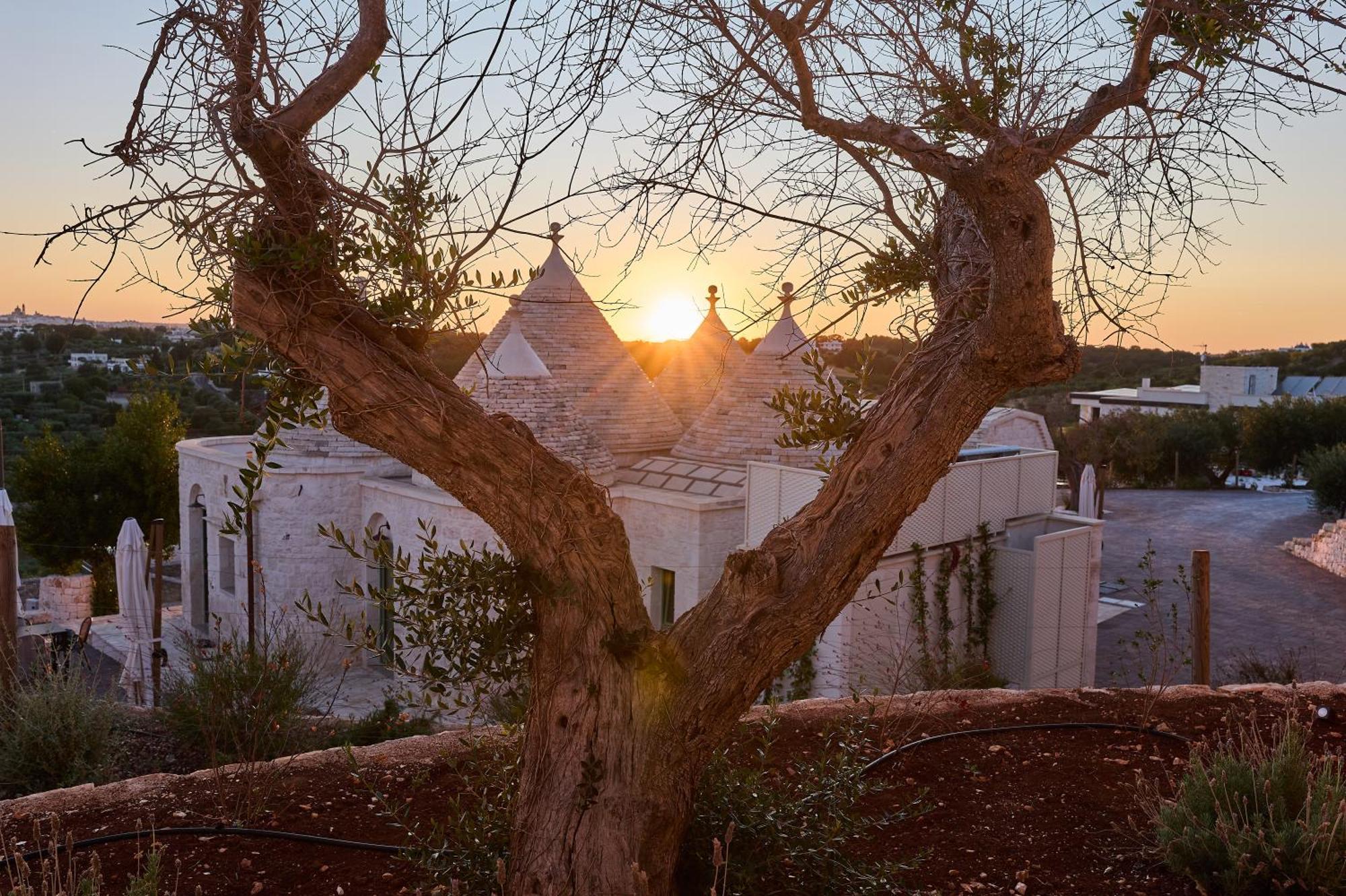 דירות לוקורוטונדו Trulli Mbs By Apulia Hospitality מראה חיצוני תמונה