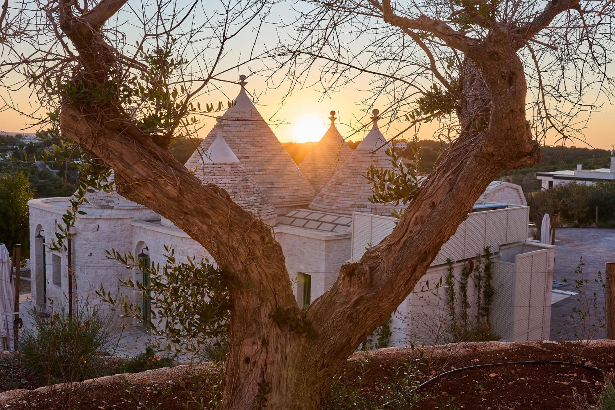 דירות לוקורוטונדו Trulli Mbs By Apulia Hospitality מראה חיצוני תמונה